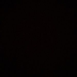 Meet your Posher, Windsor